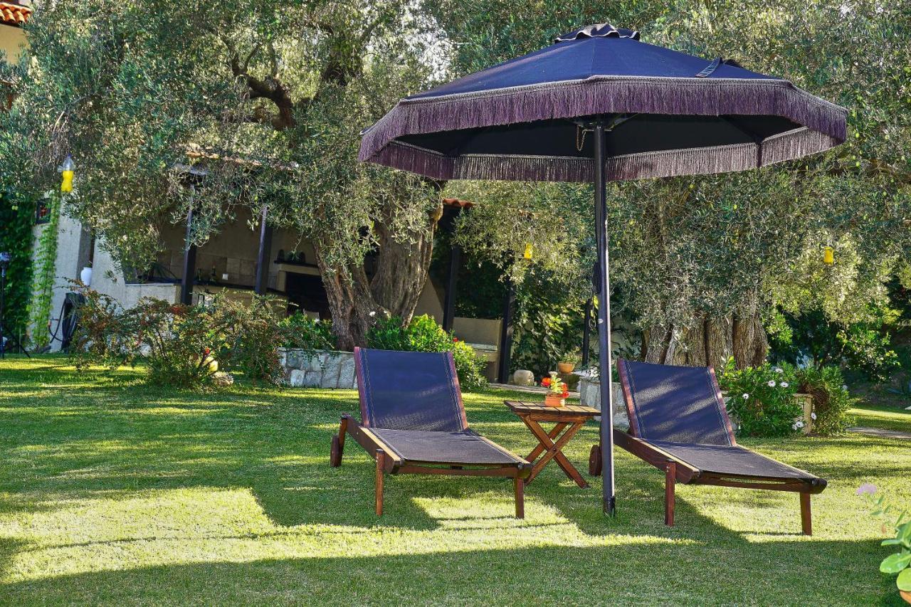 Villa The Cosy Olive Ormos Panagias Exterior photo