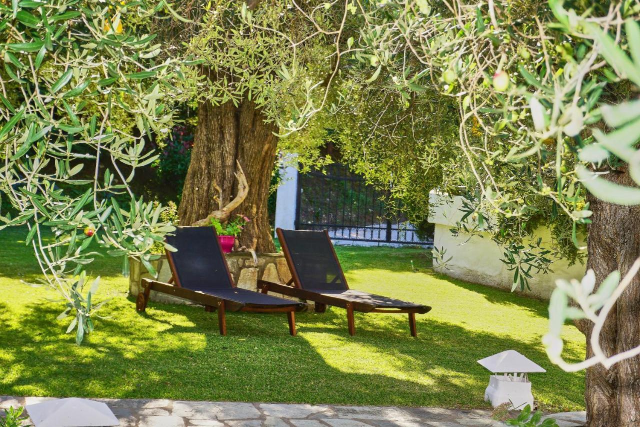 Villa The Cosy Olive Ormos Panagias Exterior photo